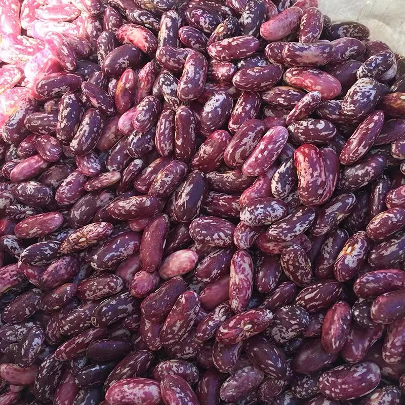 东北红花芸豆4斤