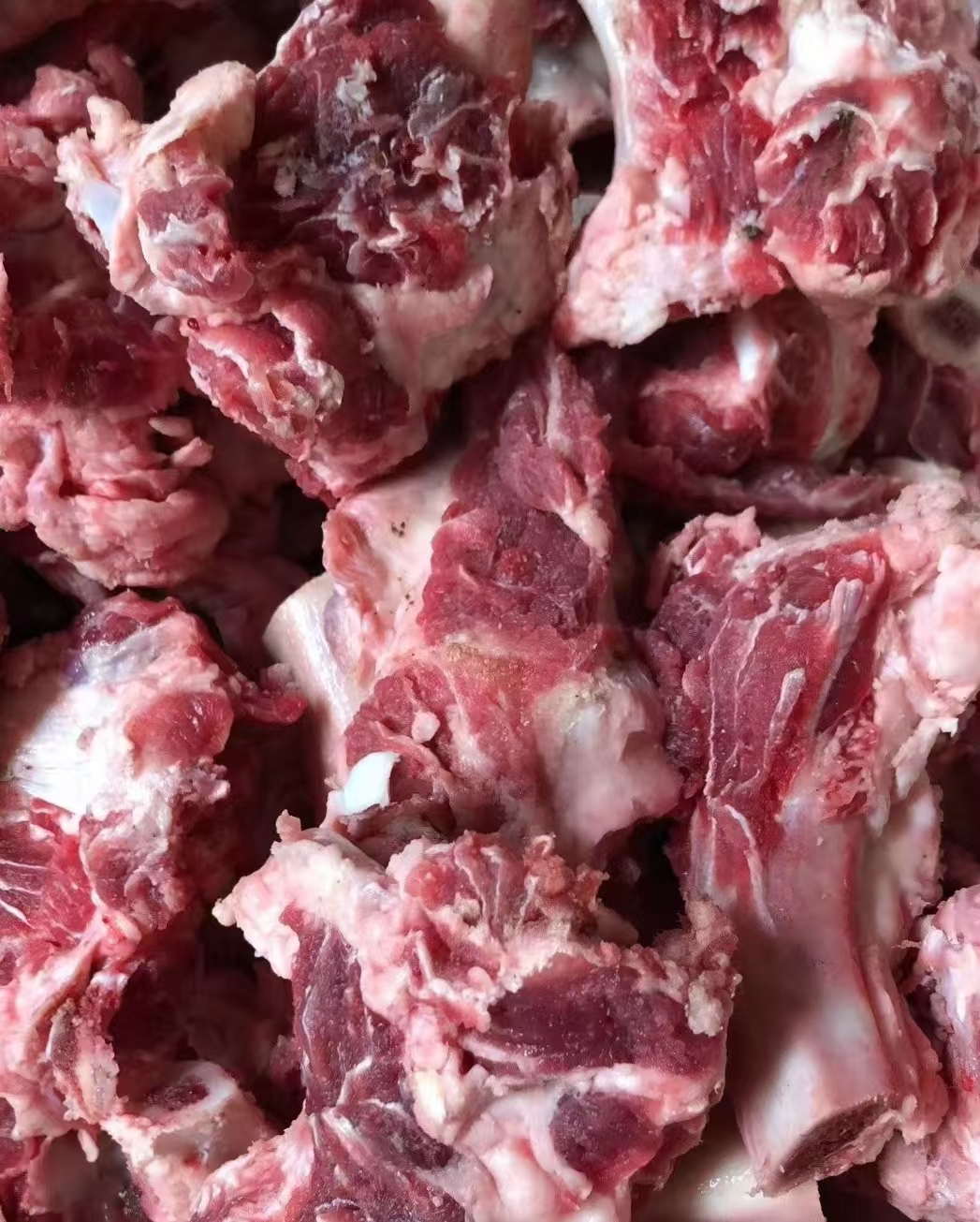 牛肋条头（牛小骨）炖着吃特别香