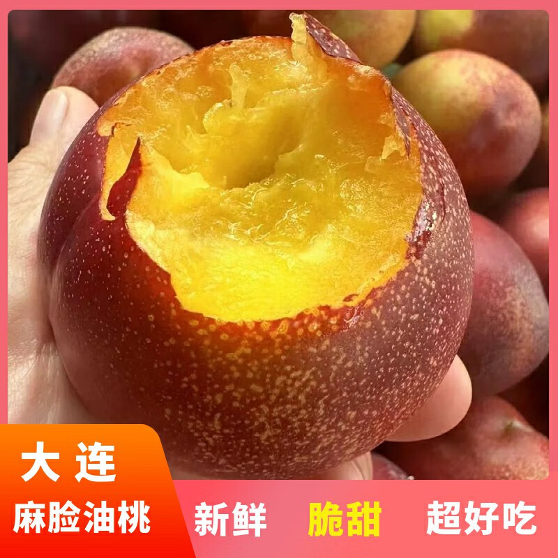 [顺丰包邮】大连头茬黄心油桃新鲜水果现摘黄肉满天星麻子脸油桃