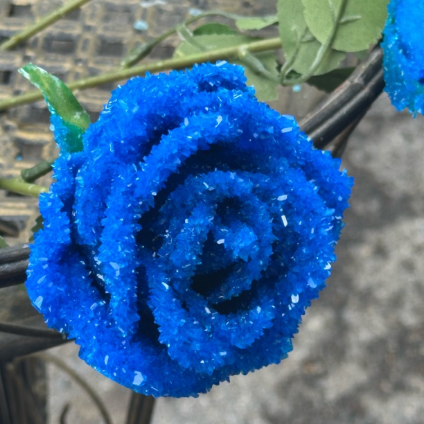 （一物一图）纯手工制作晶体玫瑰带冰晶的永生花蓝玫瑰丝带红玫瑰