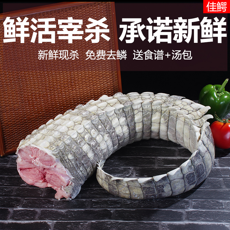 佳鳄新鲜鳄鱼尾巴 现杀鳄鱼肉 食用鳄鱼火锅烧烤煲汤 顺丰包邮
