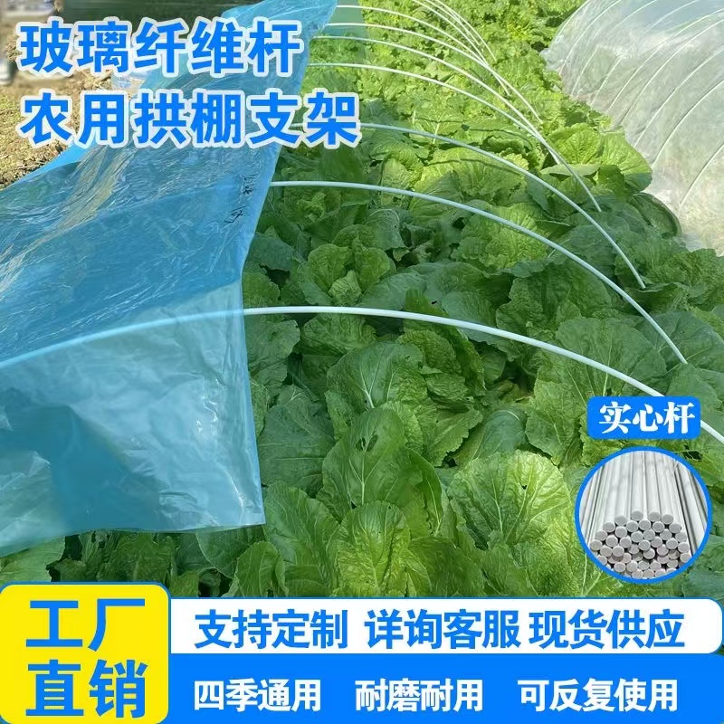20根】实心农用小拱棚支架菜园种菜菜棚玻璃纤维杆菜地专用新型