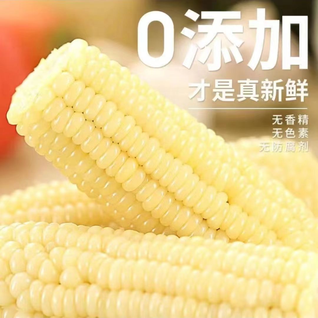 [8根真空包装]2025年头茬东北新甜糯白玉米