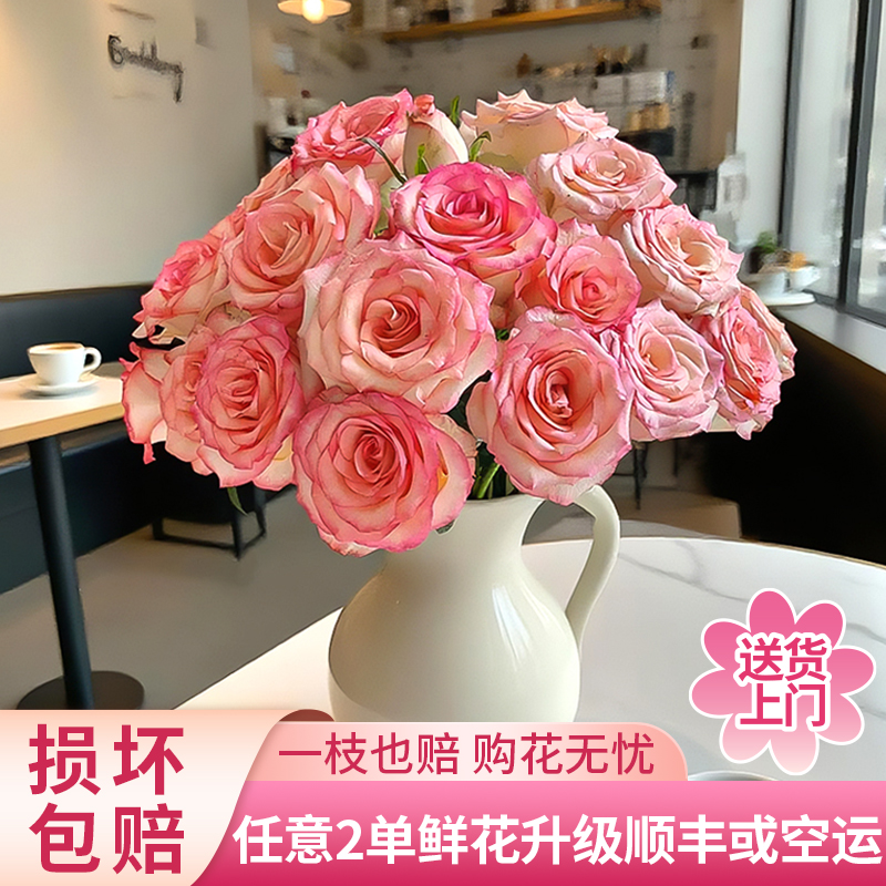 【黄梦宇】艾莎单头玫瑰全场鲜花任意满两单及以上包邮送货上门