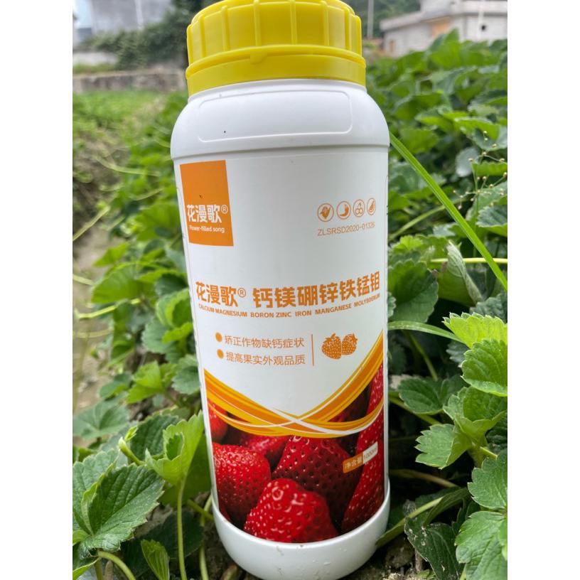 补充草莓所需微量元素，促进花芽分化，提高产量和品质