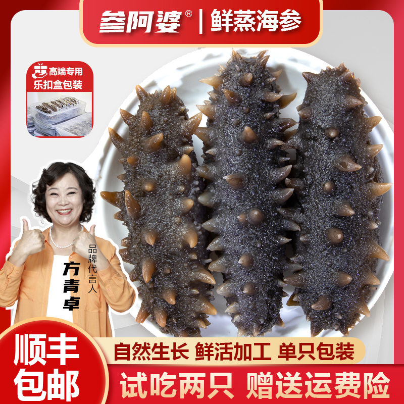【参阿婆】鲜蒸海参即食独立包装新鲜海参冷冻海鲜批发非海参干货