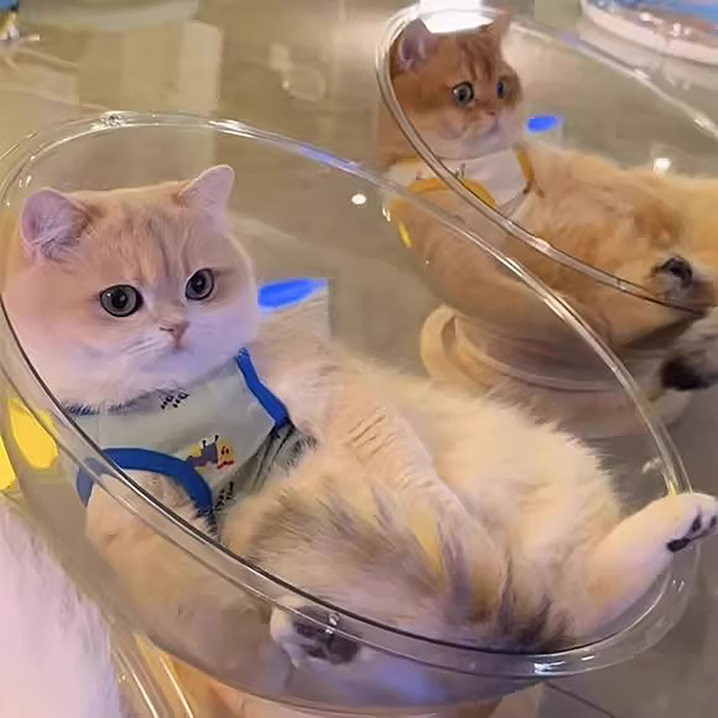 太空舱猫窝四季通用高透舒适木质转盘冰窝猫咪玩具猫床一体春夏