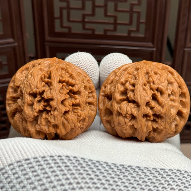 精选大粗筋狮子头，边47肚48高41，山地果骨质好克重足压手一物一图