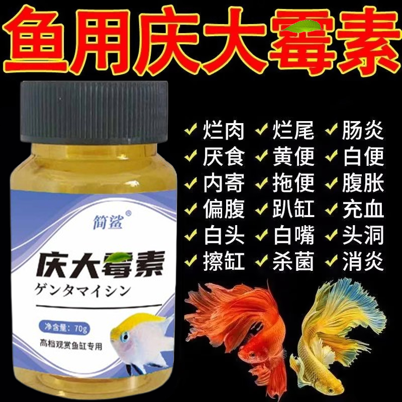【庆大霉素】鱼身上充血白毛白点烂尾烂鳃立鳞蒙眼趴各种问题缸专用