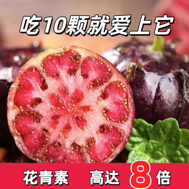 【爱心助农】云南稀有高端红果参算盘果蜘蛛果红参果酸甜可口1-8盒