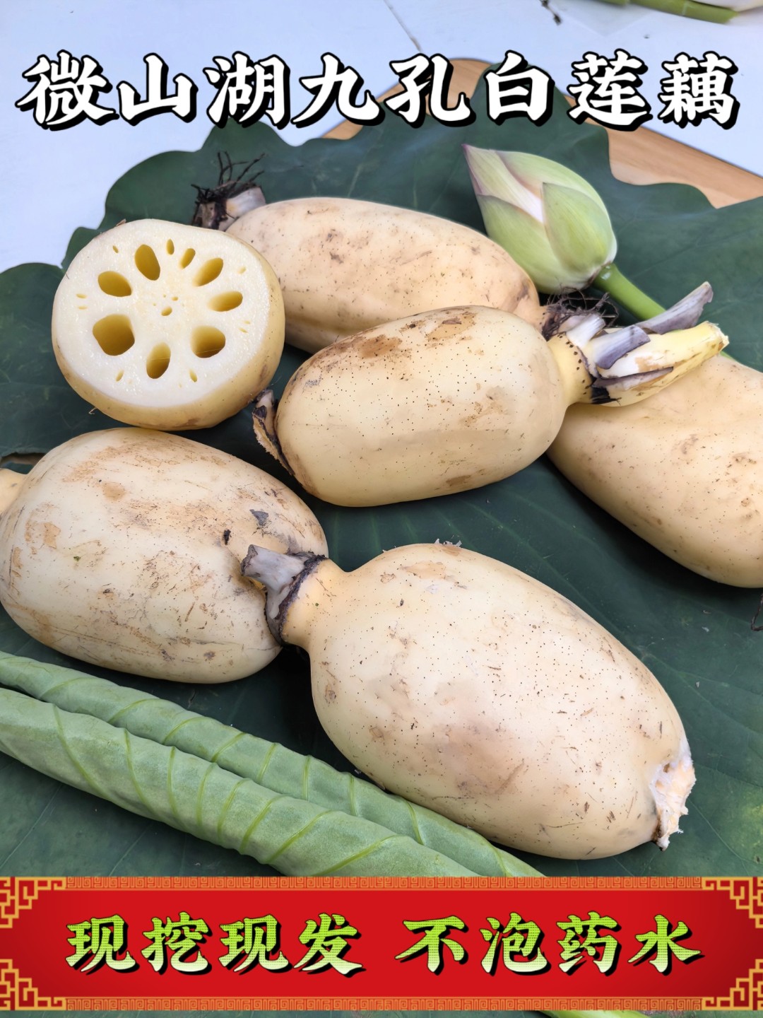【精品脆藕】微山湖九孔白莲藕不泡药水自家种植当天现挖现发无科技