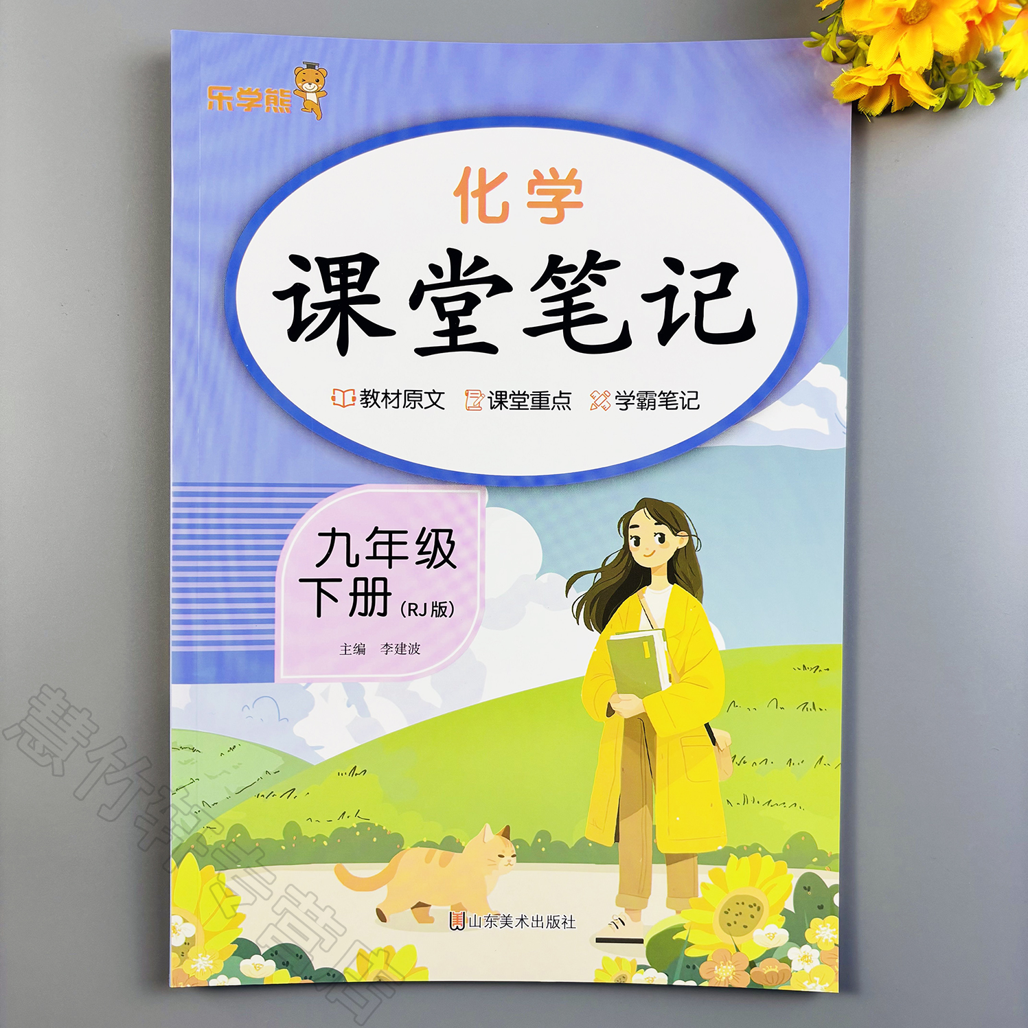 初中九年级下册化学课堂笔记人教版同步教材讲解预复习书课本解析