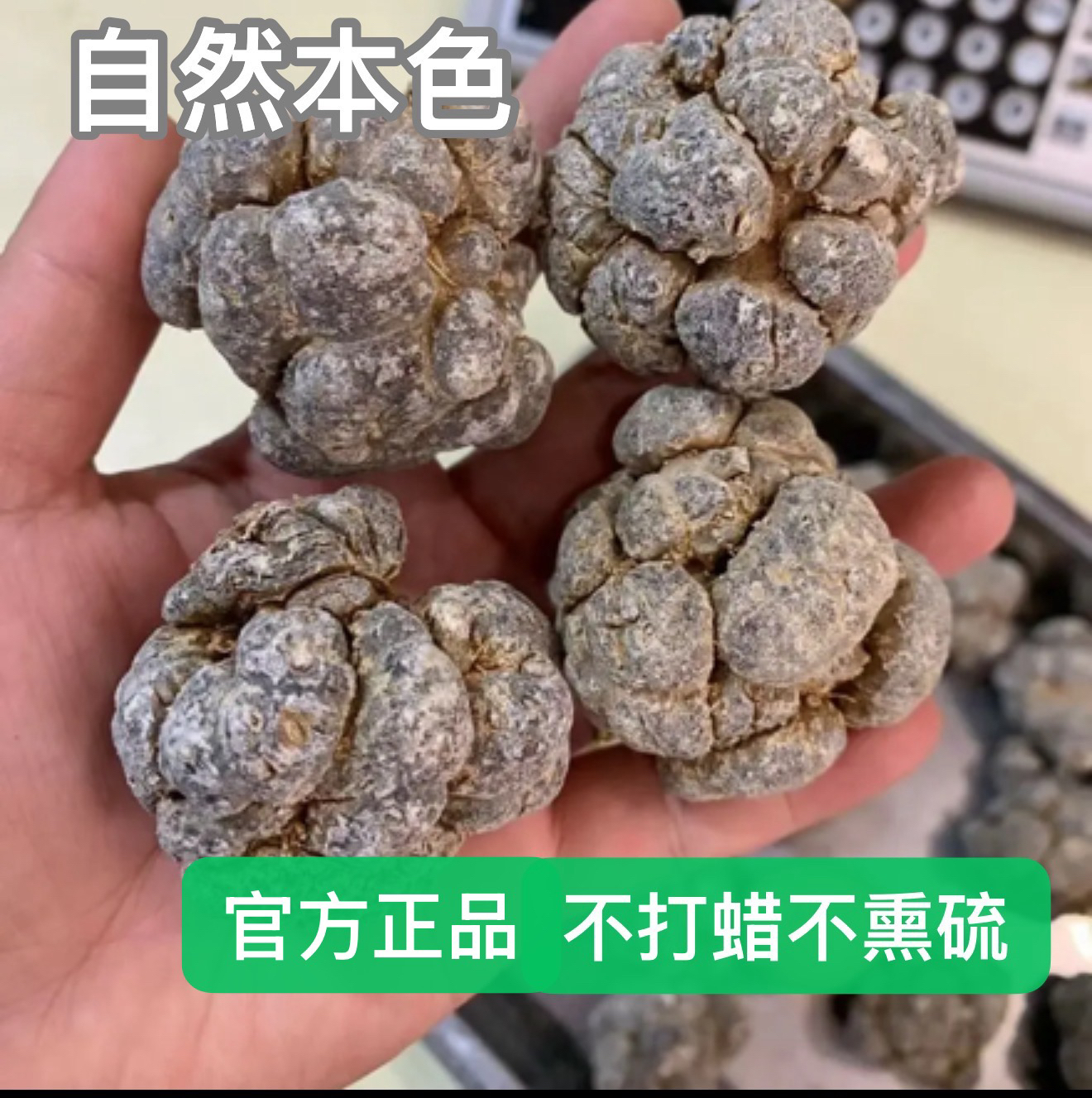 云南文山春三七正宗田七土特产种植4到5年老三七