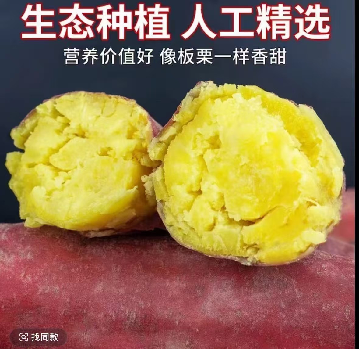 【现挖现发】正宗河南沙地板栗红薯粉糯香甜无筋无丝新鲜黄心地瓜