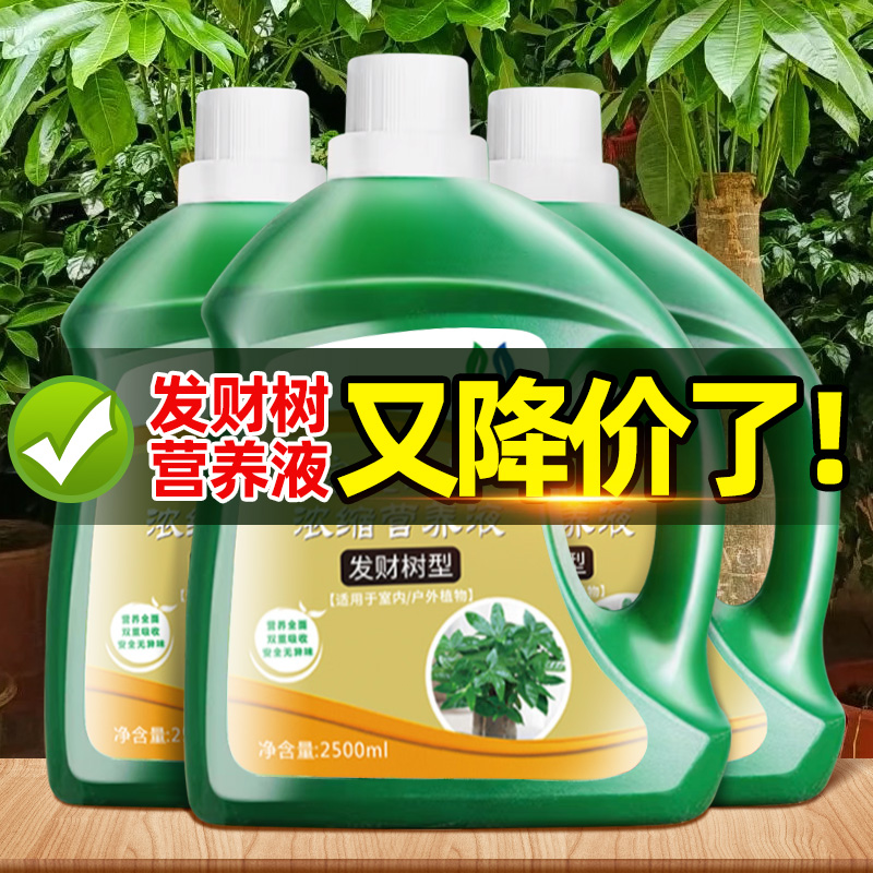 领沃发财树专用营养液黄叶烂根药水培植物肥料专用肥室内盆栽通用