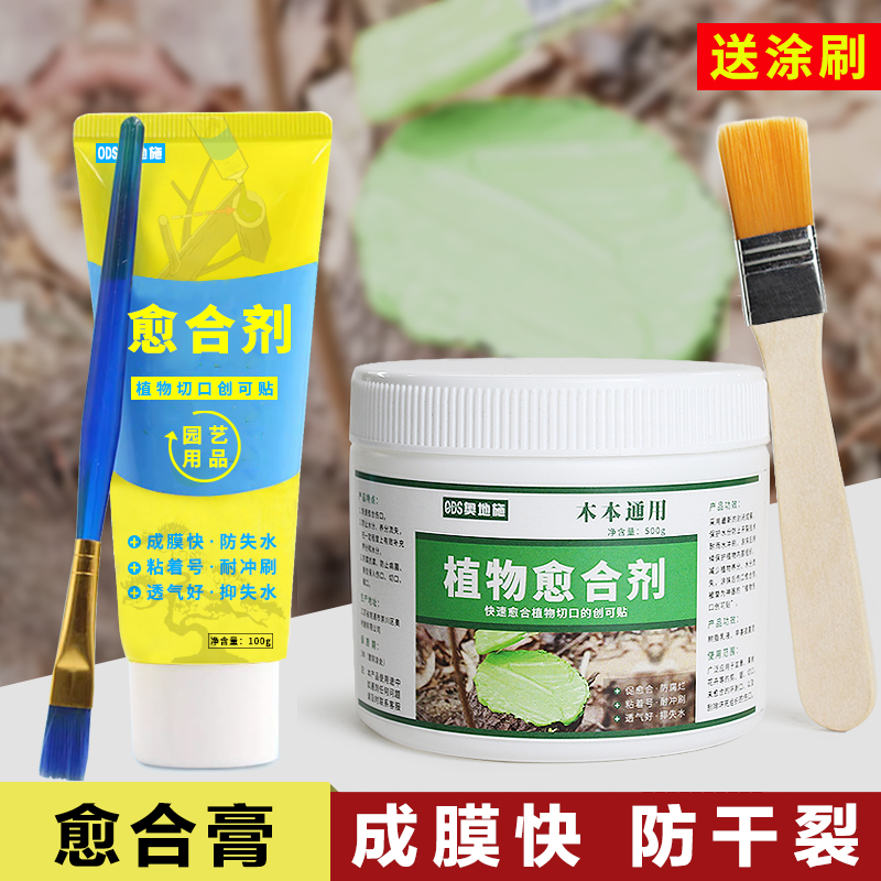 植物愈合剂盆景修剪扦插专用伤口愈合膏树木伤口封口涂补剂