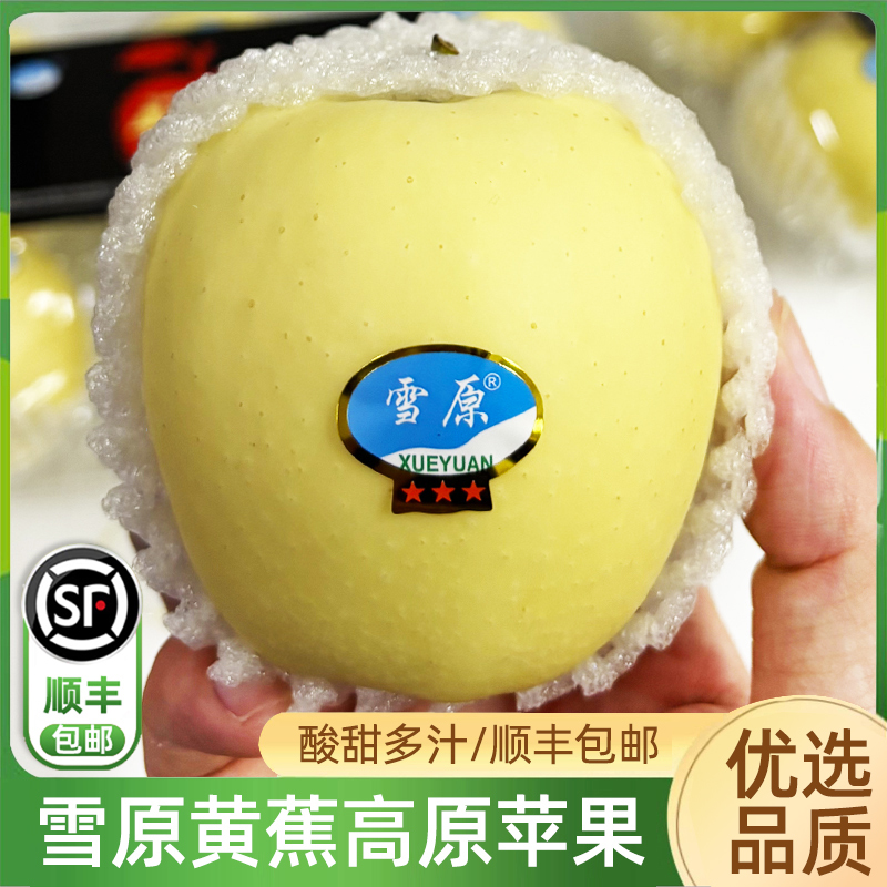 雪原黄蕉苹果6粒装 粉面多汁黄土高原金冠黄元帅甘肃苹果顺丰