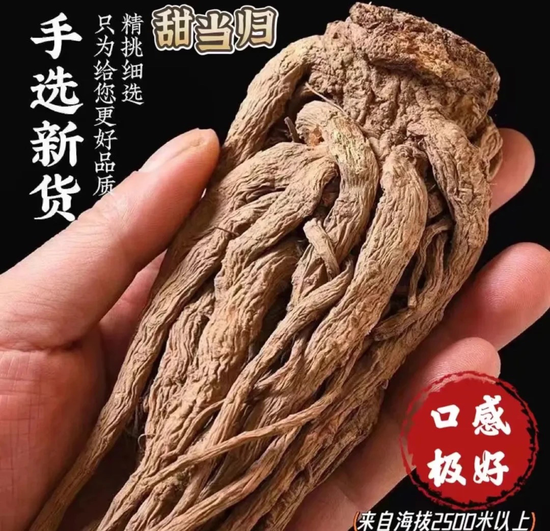 1大凉山 甜当归滋补养生煲汤炖肉泡酒煮水