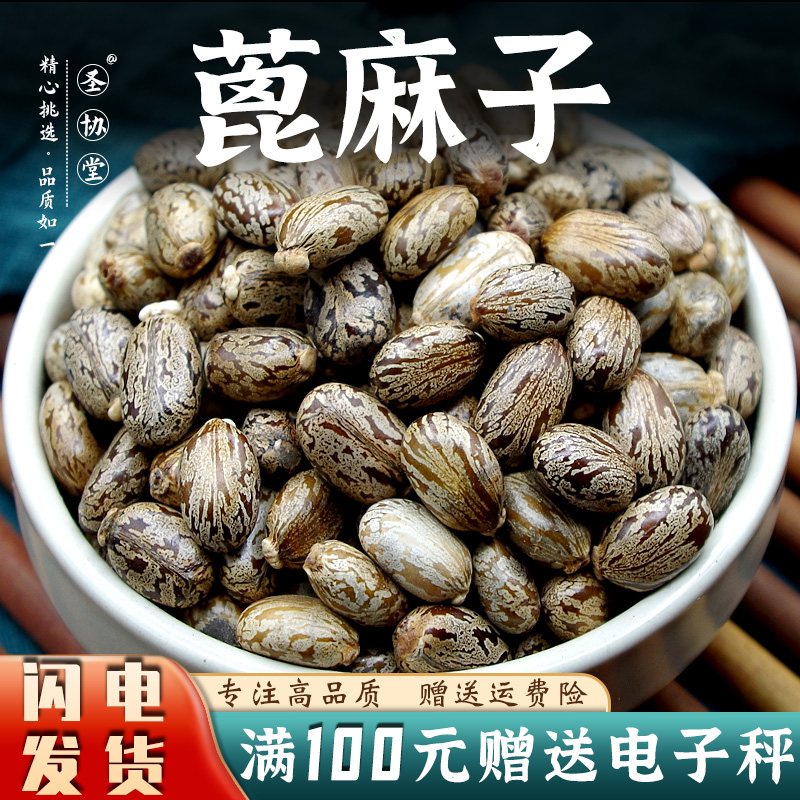 蓖麻子中药材蓖麻籽蓖麻子蓖麻仁蓖麻子大麻子外用不可内用
