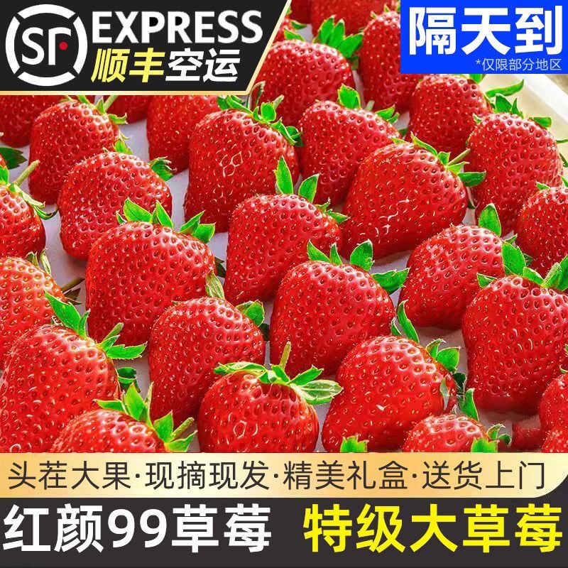 正宗丹东草莓99红颜牛奶一颗大奶油草莓新鲜礼盒丹东九九大草莓
