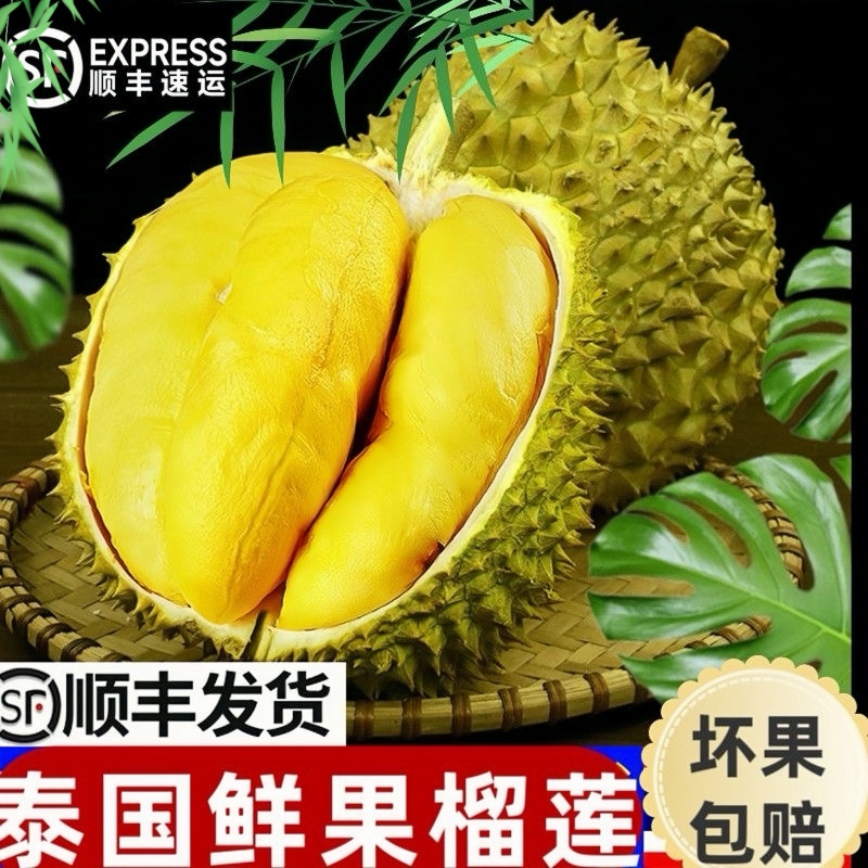【顺丰现货】榴莲泰国进口金枕A级整果 新鲜水果软糯香甜坏果包赔