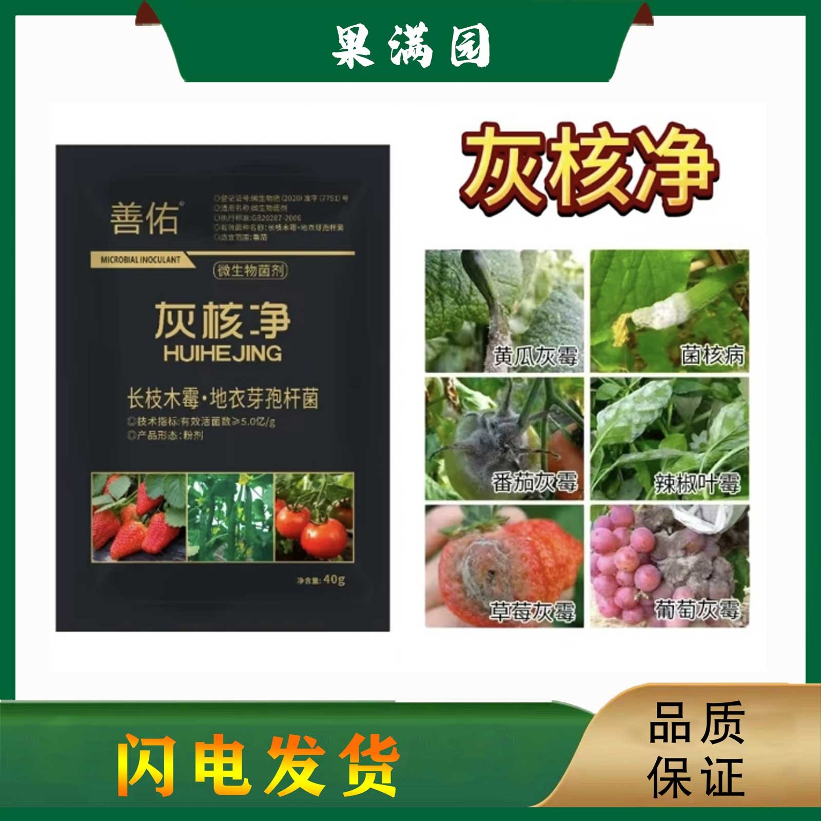 灰核净顽固灰霉叶霉菌核病专用草莓葡萄辣椒黄瓜番茄大棚通用