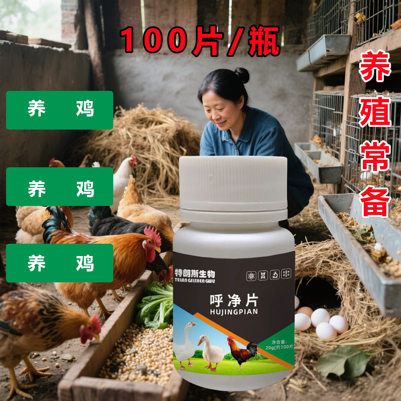 速康生物呼净片鸡鸭鹅鸽子鹌鹑家禽农村散养家禽养殖