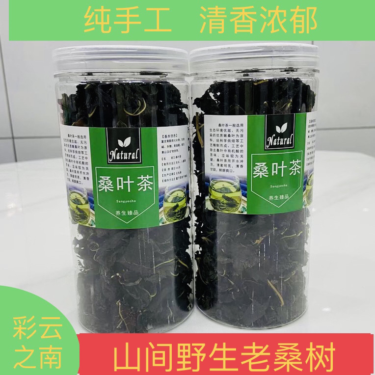 云南山间野生桑叶