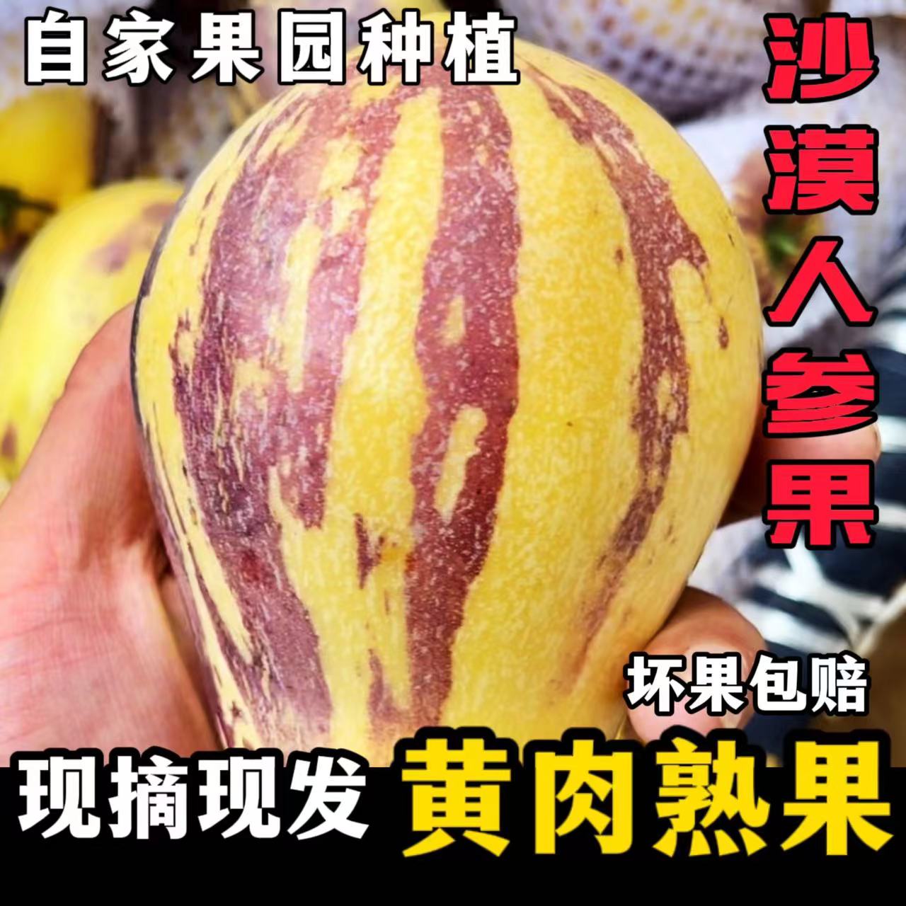 甘肃沙漠民勤人参果自然成熟现摘现发5斤装产地直发黄肉熟果