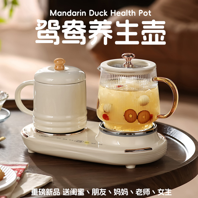 养生壶多功能送妈妈老师闺蜜朋友生日礼物女生实用高级年会节礼品
