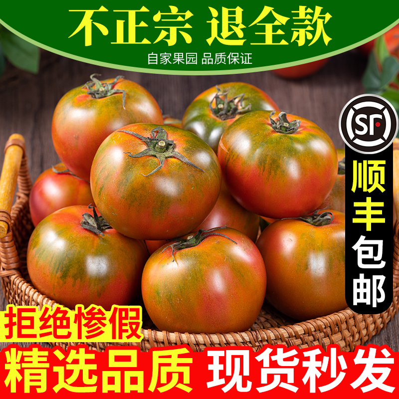 正宗丹东铁皮草莓柿子盘锦碱地新鲜自然熟绿腚番茄孕妇水果西红柿