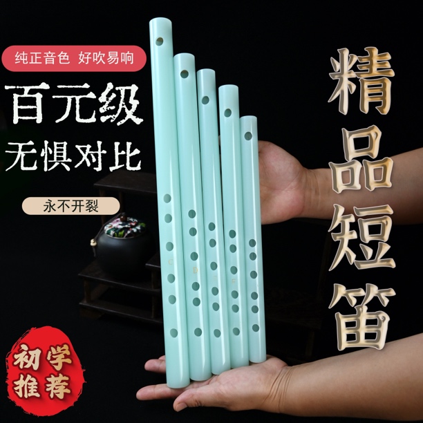 短笛笛子零基础成人初学入门笛子初学成人零基础古风短笛送教材