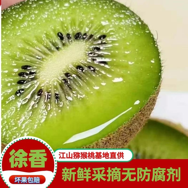 【徐香猕猴桃】正宗江山徐香猕猴桃新鲜采摘水果清甜多汁现采现发