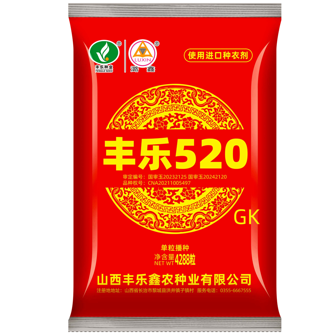 全新升级GK版本丰乐520高产玉米种子