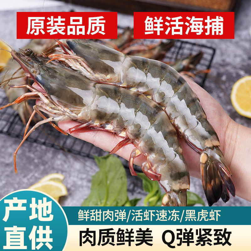 活冻盐田，顺丰冷链空运，新鲜30/40大号黑虎虾，肉质鲜嫩特大黑皮虾