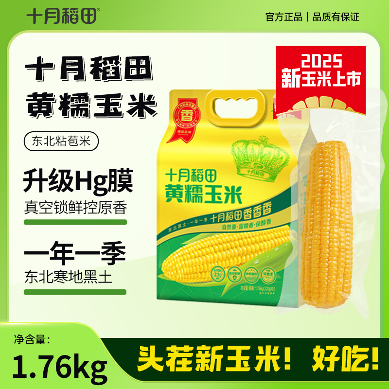 粗粮轻食 十月稻田黄糯玉米棒玉米粒香甜糯东北黏苞米真空早餐