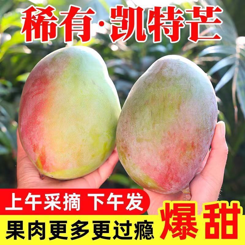 正宗四川攀枝花凯特芒果新鲜水果孕妇当季现摘大青皮芒果爆甜整箱