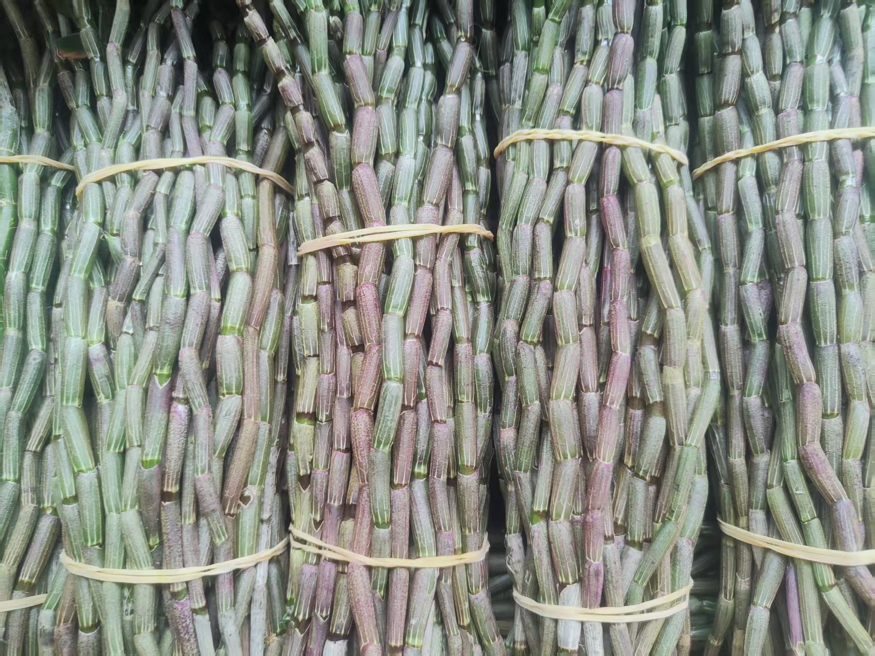 云南高山种植铁皮鲜条胶质浓可煲汤现采现发