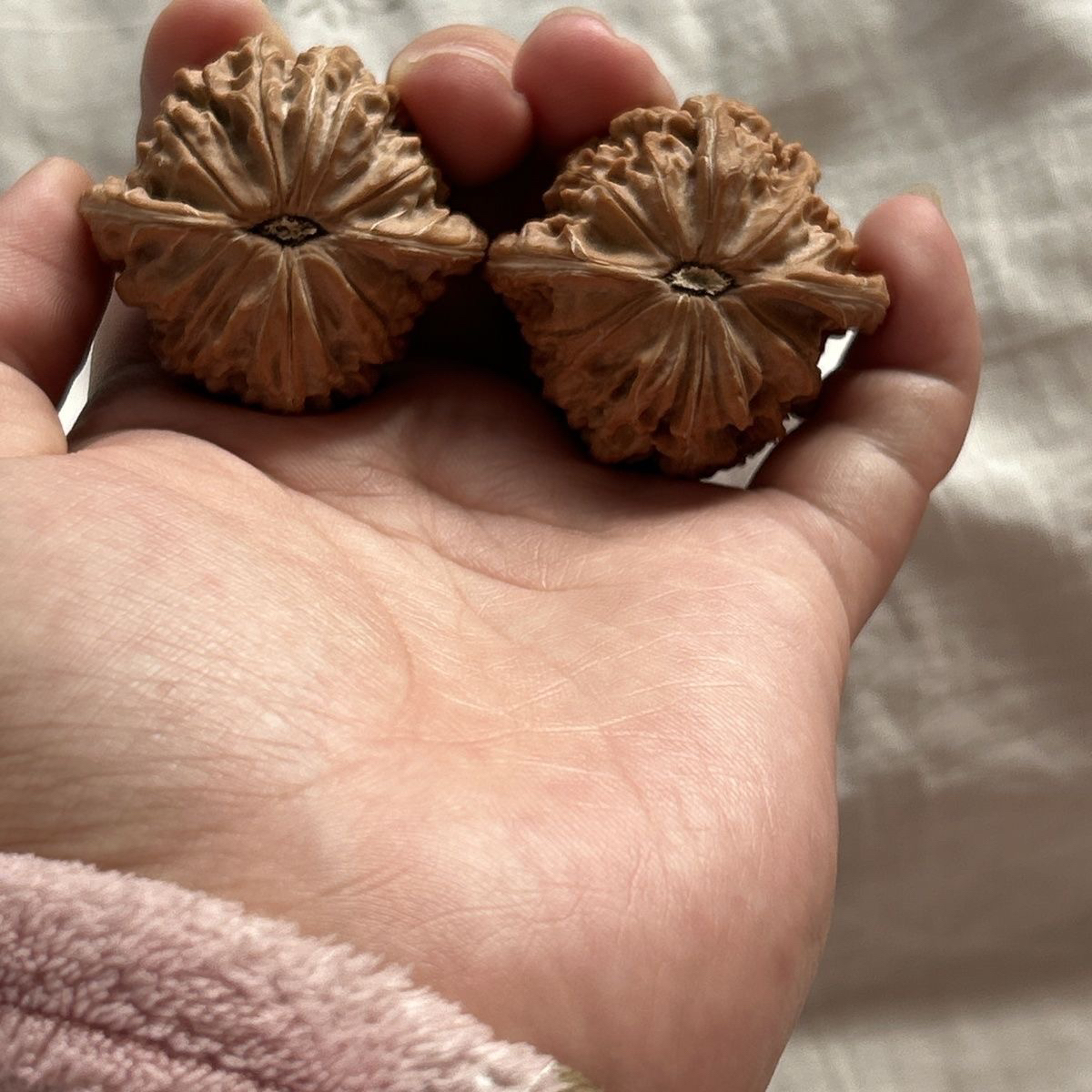 41尺文玩核桃一物一图原皮原色原生态山地磨盘无药全品微微瑕