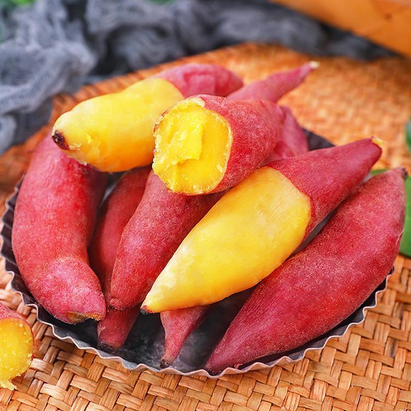 海南小香薯地瓜富硒丝滑板栗红薯小红薯粉糯甜绵密小番薯