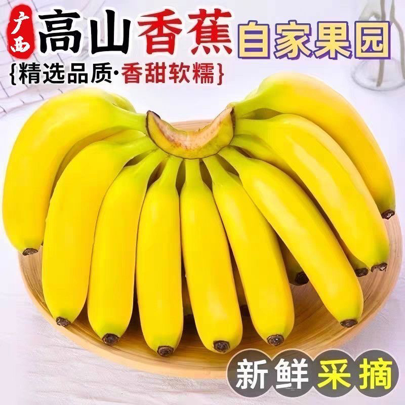 【精选单根】广西高山甜香蕉当季新鲜水果自然熟软糯香甜整箱批发
