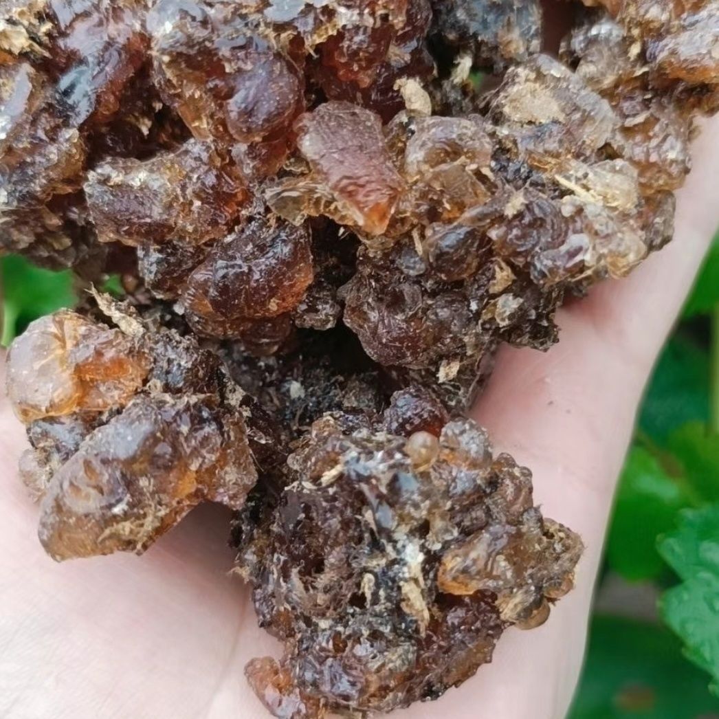 sehri kuq hakiki yarlik jigda yilimi魅力妙沙枣胶