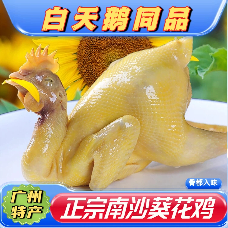 【总链接 正价无赠送】著名南沙葵花鸡 广州特产高端食材不喂饲料
