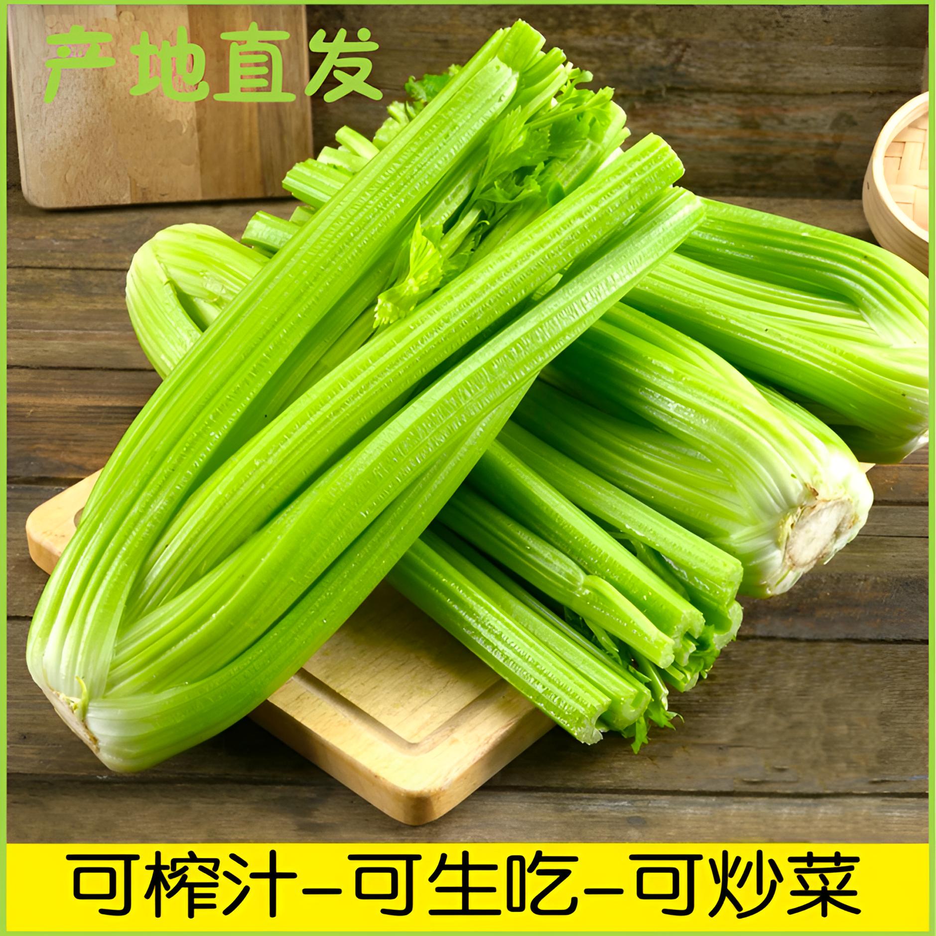 现摘现发榨汁西芹生吃水果西芹山东寿光产地直发爆汁西芹脆嫩多汁