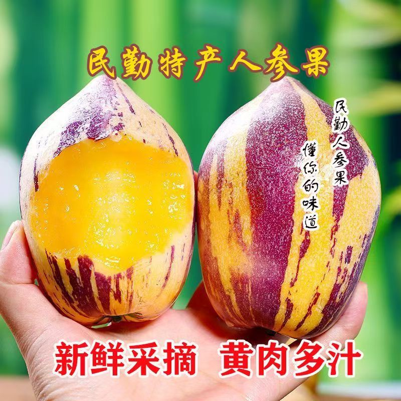 甘肃民勤沙漠人参果特大人参果黄肉清甜人参果新鲜当季树熟水果