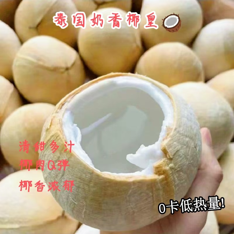 【果优纯】泰国奶香椰皇精选老树椰皇奶香浓郁孕妇顺丰快递当季新鲜