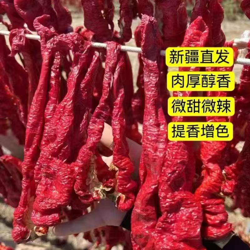 特产新疆焉耆厚肉辣皮子新鲜辣椒大红竹薯板栗辣皮子新疆包邮