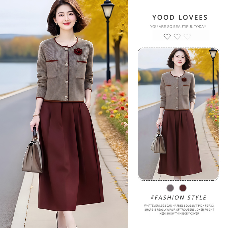 2025春秋新款时尚高级感撞色圆领针织短外套+松紧腰半裙两件套潮