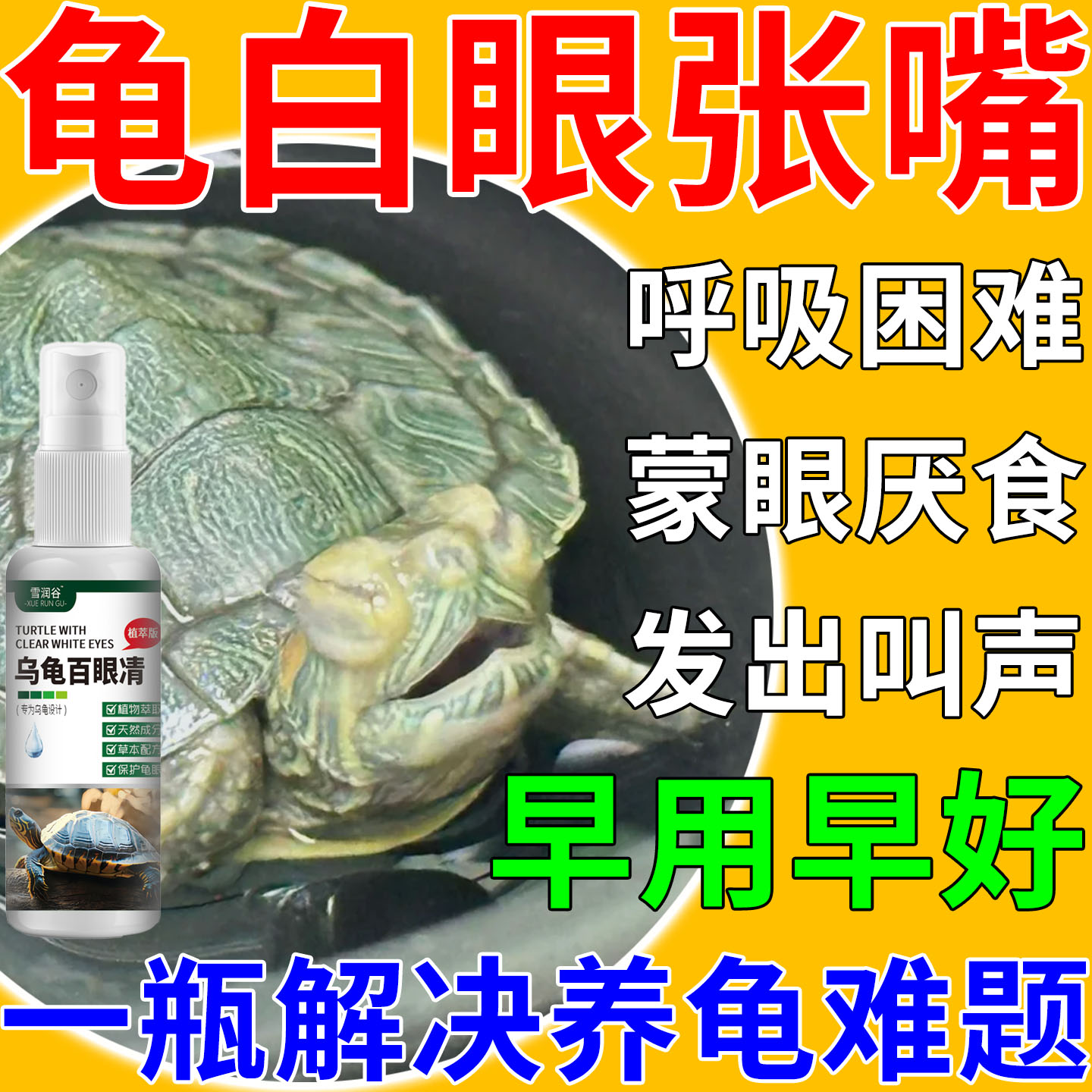 乌龟白眼肺炎巴西龟腐皮腐甲张嘴呼吸眼睛睁不开蒙肿厌食鱼缸用