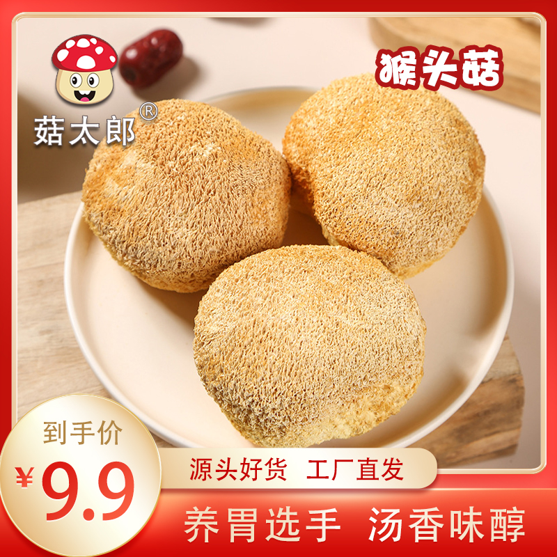 菇太郎农家特产养胃猴头菇干货无菌无硫当季新货煲汤菇毛细腻